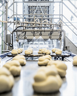 Der Spezialist für Industriebauten